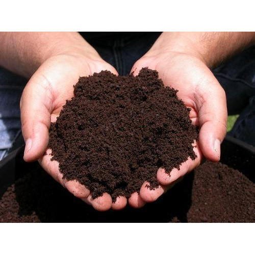 Biogas from pressmud